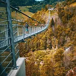 Foret - Тодтнауберг