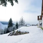 Apartment Foret - Todtnauberg