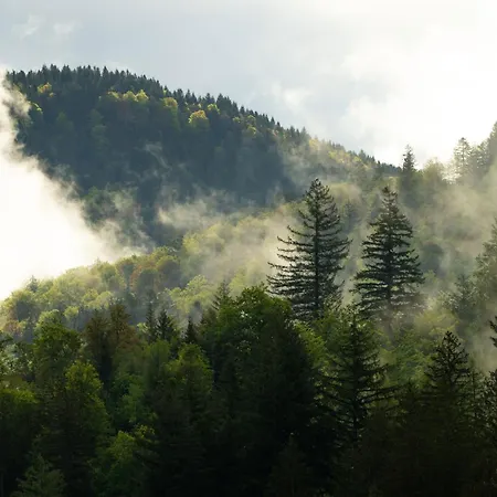 Апартаменты Foret - *