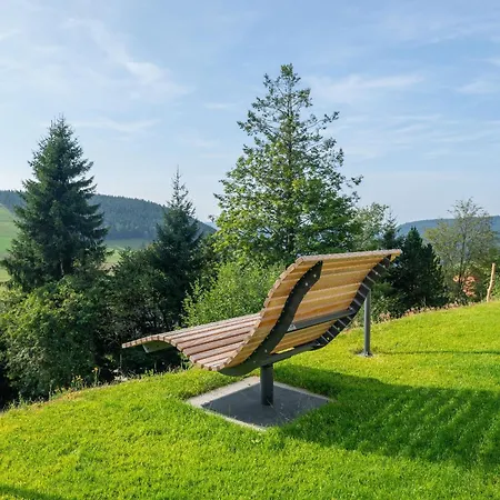 Foret - Apartmán Todtnauberg